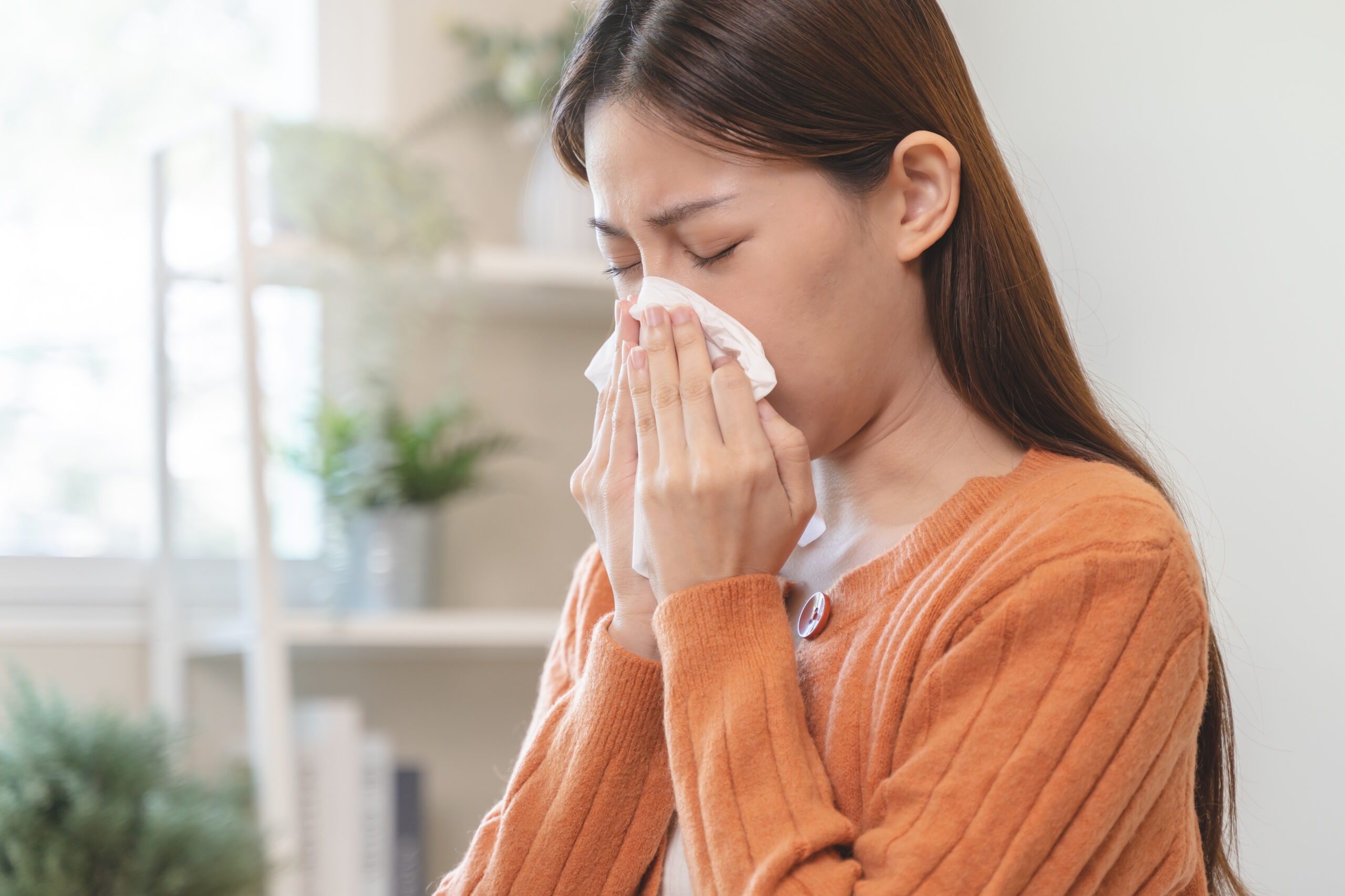 allergies indoor air quality